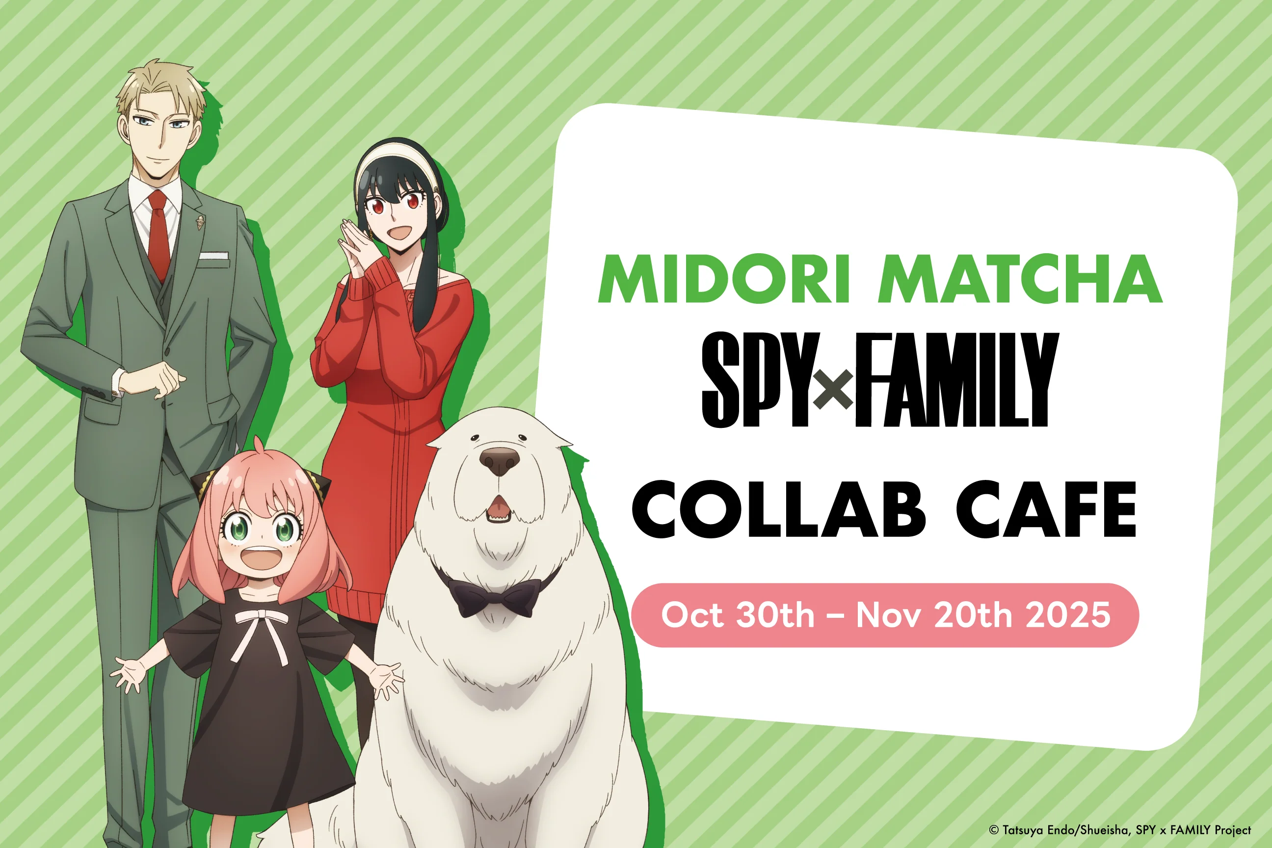 SPY x FAMILY Cafe Door Sign